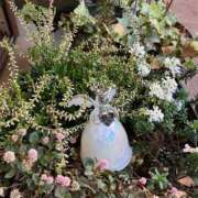 ヒメ日記 2026/01/26 20:54 投稿 まおみ 完熟ばなな梅田