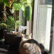 ヒメ日記 2026/02/22 15:14 投稿 まおみ 完熟ばなな梅田