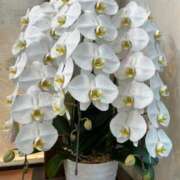 ヒメ日記 2025/10/27 08:28 投稿 マリア マダム西船橋