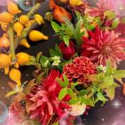 ヒメ日記 2025/11/07 12:11 投稿 マリア マダム西船橋