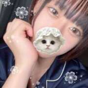 ヒメ日記 2025/09/29 08:01 投稿 るる ベイビーモコ