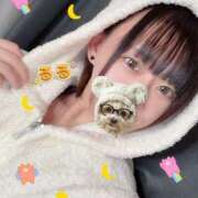 ヒメ日記 2025/10/01 12:04 投稿 るる ベイビーモコ