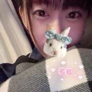 ヒメ日記 2025/10/03 18:39 投稿 るる ベイビーモコ