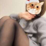 ヒメ日記 2025/12/12 20:31 投稿 神崎　れいな ナディア名古屋店