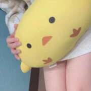 ヒメ日記 2025/11/09 10:31 投稿 ちさと 横浜ひよこ倶楽部