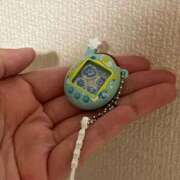 ヒメ日記 2025/11/29 22:40 投稿 ちさと 横浜ひよこ倶楽部