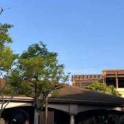 ちさと TDSに来てます♡ 横浜ひよこ倶楽部