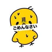 ヒメ日記 2026/05/15 10:21 投稿 ちさと 横浜ひよこ倶楽部