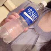 ヒメ日記 2026/08/04 10:53 投稿 ちさと 横浜ひよこ倶楽部