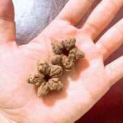 ヒメ日記 2025/10/16 21:47 投稿 ちなみ 横浜人妻花壇本店