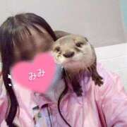 ヒメ日記 2025/09/30 23:08 投稿 みみ with SPA (ウィズスパ)