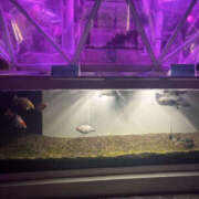 ヒメ日記 2025/10/11 22:29 投稿 ことか Kitty(キティー)