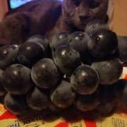 ヒメ日記 2025/11/30 16:32 投稿 はくひ 熟女の風俗最終章 西川口店