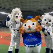 ヒメ日記 2026/02/06 18:46 投稿 かずき クリスタル