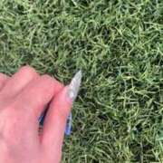 ヒメ日記 2026/03/26 02:36 投稿 かずき クリスタル