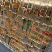 ヒメ日記 2026/03/28 12:46 投稿 かずき クリスタル