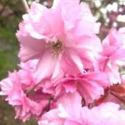 ヒメ日記 2026/05/08 16:09 投稿 かずき クリスタル