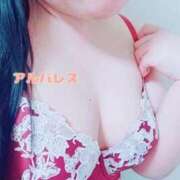 ヒメ日記 2025/12/12 14:49 投稿 アルバレス 鶯谷デッドボール