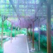 アルバレス 4月もありがとう♡ 鶯谷デッドボール