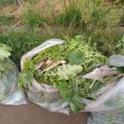 ヒメ日記 2025/10/18 13:38 投稿 如月(きさらぎ) ユカノモリ