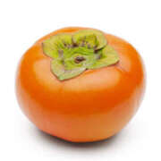 ヒメ日記 2025/11/01 12:35 投稿 如月(きさらぎ) ユカノモリ