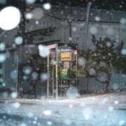 ヒメ日記 2025/11/11 08:58 投稿 如月(きさらぎ) ユカノモリ