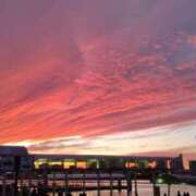 ヒメ日記 2026/01/16 14:18 投稿 如月(きさらぎ) ユカノモリ