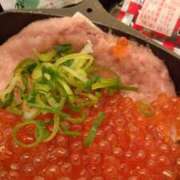 ヒメ日記 2026/02/01 13:27 投稿 如月(きさらぎ) ユカノモリ