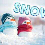 ヒメ日記 2026/02/07 15:22 投稿 如月(きさらぎ) ユカノモリ