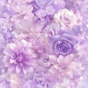 ヒメ日記 2026/02/12 10:32 投稿 如月(きさらぎ) ユカノモリ