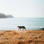 ヒメ日記 2026/03/17 11:31 投稿 如月(きさらぎ) ユカノモリ