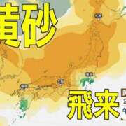 ヒメ日記 2026/04/21 09:25 投稿 如月(きさらぎ) ユカノモリ