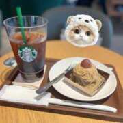 ヒメ日記 2025/11/26 08:07 投稿 カナメ 千葉美女革命