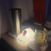 ヒメ日記 2025/10/13 23:20 投稿 うみ あふたーすくーる