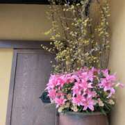 ヒメ日記 2026/03/01 08:15 投稿 あやこ 艶熟妻 京都店