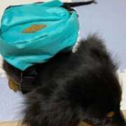 ヒメ日記 2025/11/08 22:48 投稿 ゆりか※フェラ職人＆AF可能 即イキ淫乱倶楽部 柏店