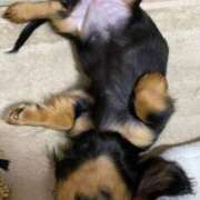 ヒメ日記 2025/11/10 17:22 投稿 ゆりか※フェラ職人＆AF可能 即イキ淫乱倶楽部 柏店