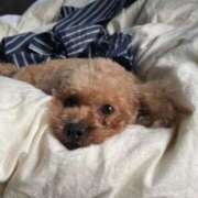 ヒメ日記 2025/12/05 14:22 投稿 ゆりか※フェラ職人＆AF可能 即イキ淫乱倶楽部 柏店