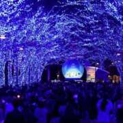 ヒメ日記 2025/10/13 19:02 投稿 あさみ 所沢東村山ちゃんこ