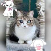 ヒメ日記 2025/12/30 09:01 投稿 あさみ 所沢東村山ちゃんこ