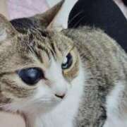 ヒメ日記 2026/01/07 16:46 投稿 あさみ 所沢東村山ちゃんこ