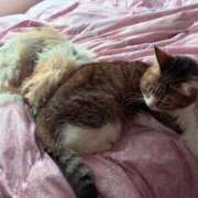 ヒメ日記 2026/01/11 15:31 投稿 あさみ 所沢東村山ちゃんこ