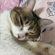 ヒメ日記 2026/01/14 07:00 投稿 あさみ 所沢東村山ちゃんこ