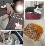 あさみ 出勤しました♡ 所沢東村山ちゃんこ