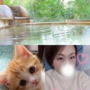 ヒメ日記 2026/01/21 16:41 投稿 あさみ 所沢東村山ちゃんこ