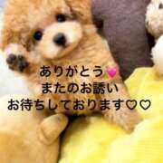 ヒメ日記 2026/02/07 02:00 投稿 あさみ 所沢東村山ちゃんこ