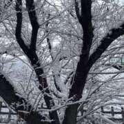 ヒメ日記 2026/02/08 11:08 投稿 あさみ 所沢東村山ちゃんこ