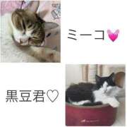 ヒメ日記 2026/02/22 19:30 投稿 あさみ 所沢東村山ちゃんこ