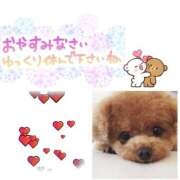 ヒメ日記 2026/02/26 02:15 投稿 あさみ 所沢東村山ちゃんこ