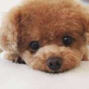 ヒメ日記 2026/03/01 02:15 投稿 あさみ 所沢東村山ちゃんこ